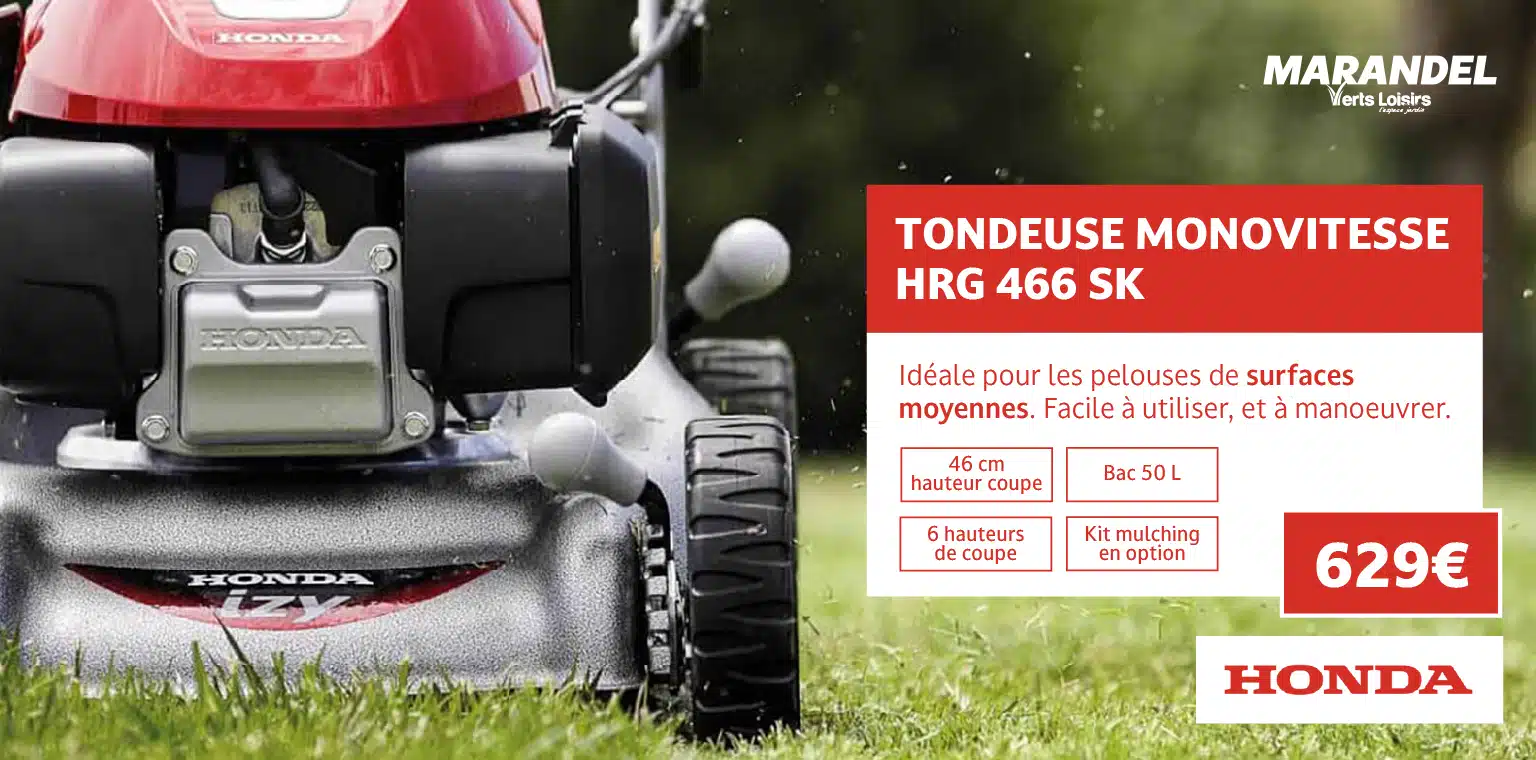 Honda HRG 466 SK