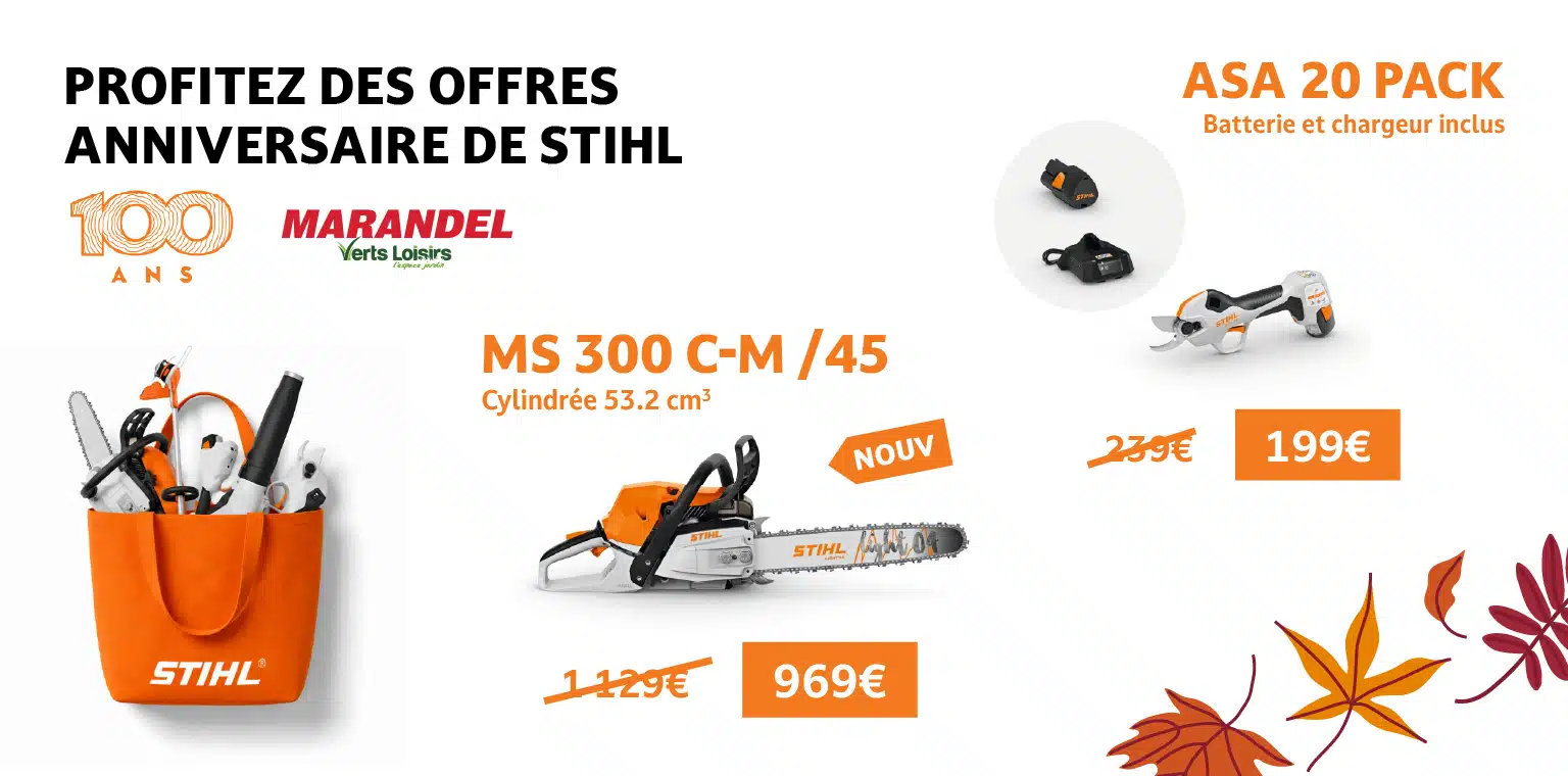 100 ans stihl